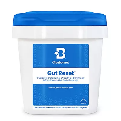 Gut Reset Powder- 25lb
