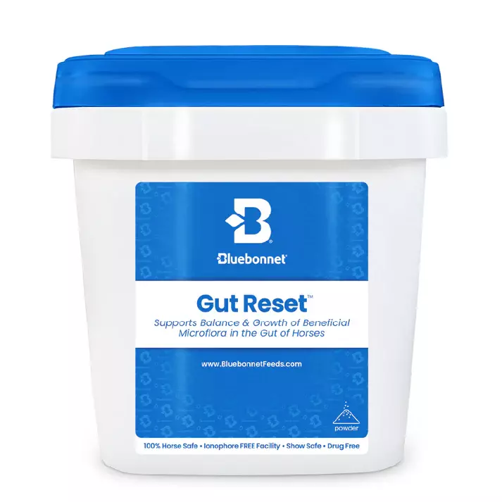 Gut Reset Powder- 25lb