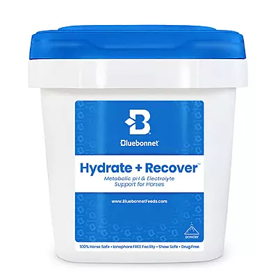 Hydrate & Recover- 44lb