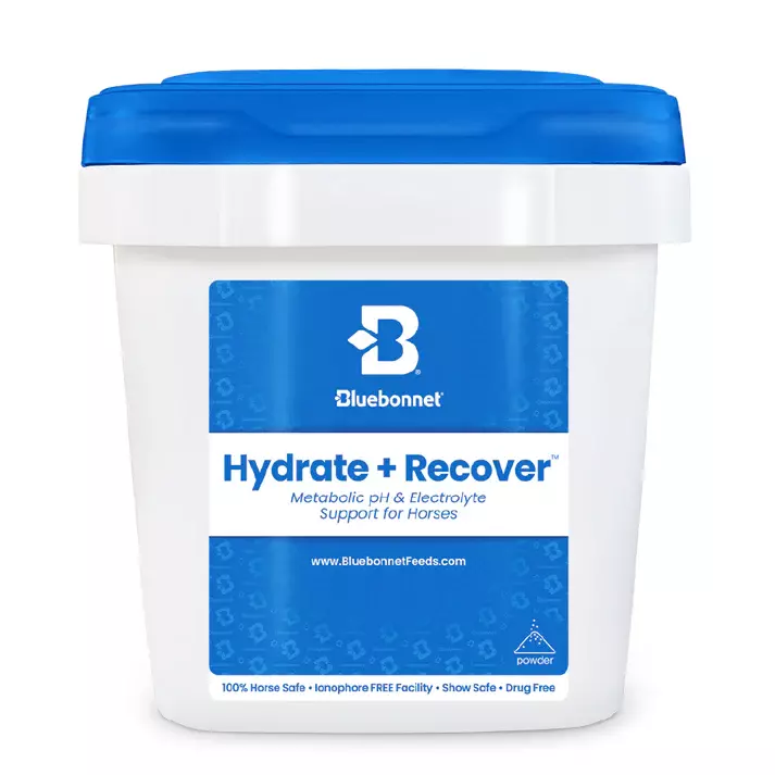 Hydrate & Recover- 44lb