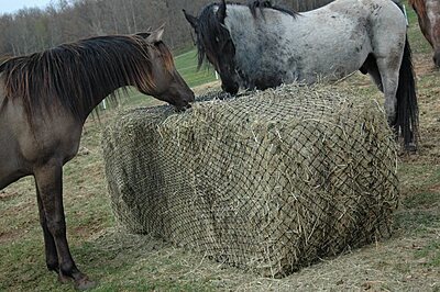 Hay Chix Large Bale Net- 6'