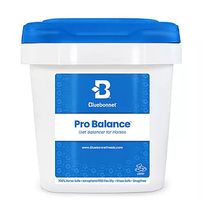 Pro Balance- 12.5lb