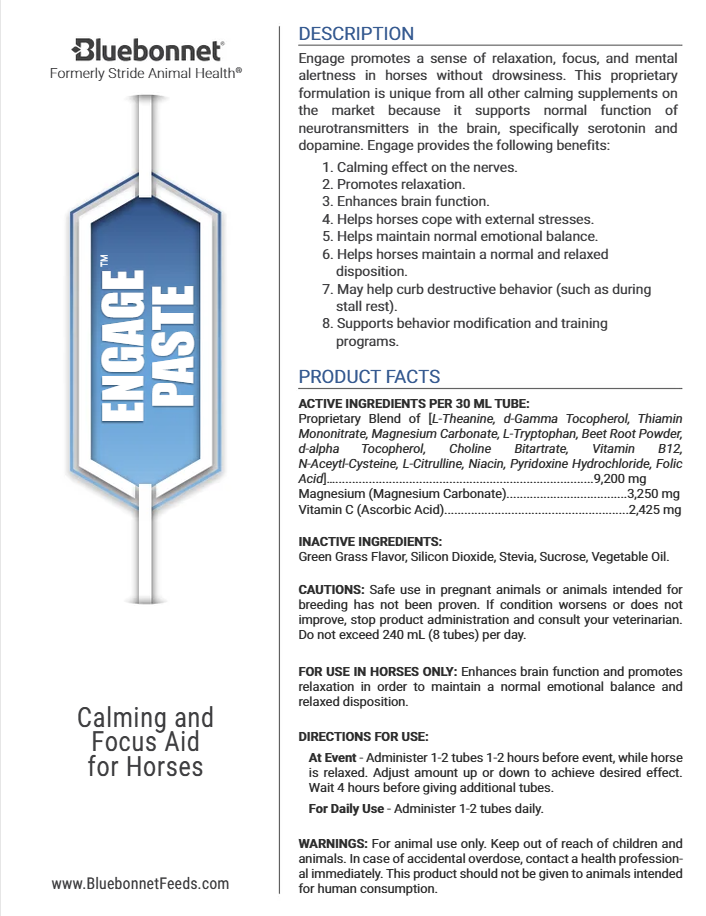 Engage Paste- Case