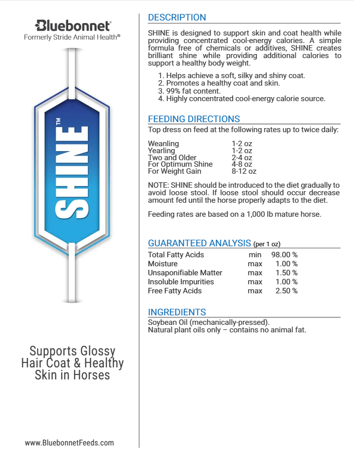 Shine- 1 Gallon