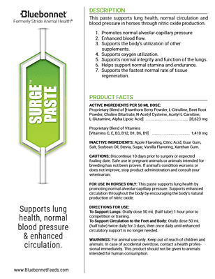 Surge Paste