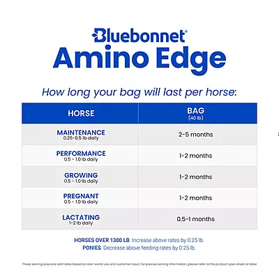 Amino Edge- 40lb