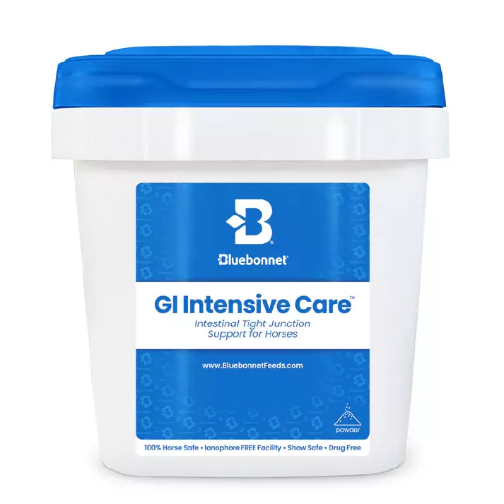 GI Intensive Care