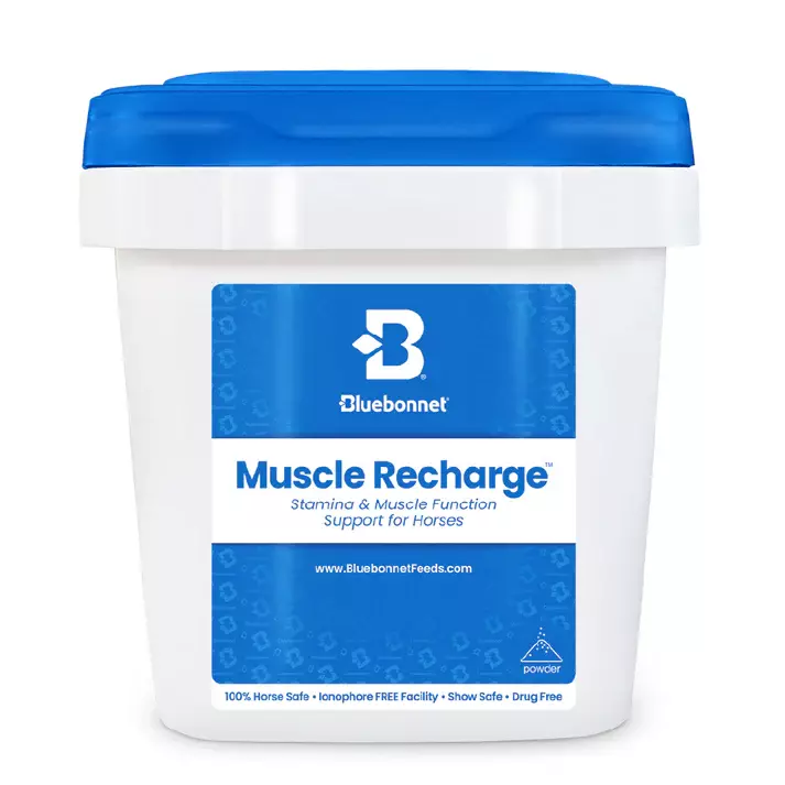 Muscle Recharge