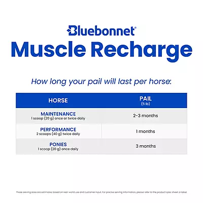Muscle Recharge