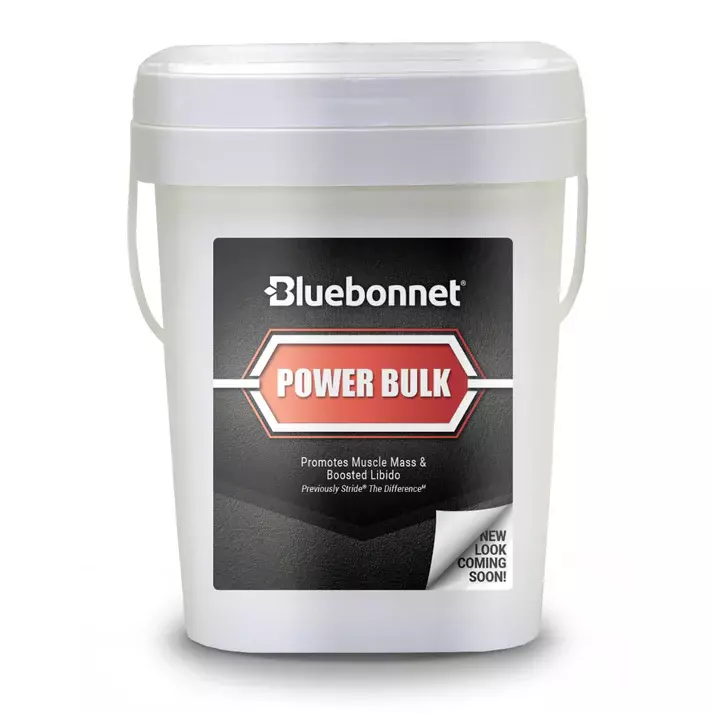 Power Bulk