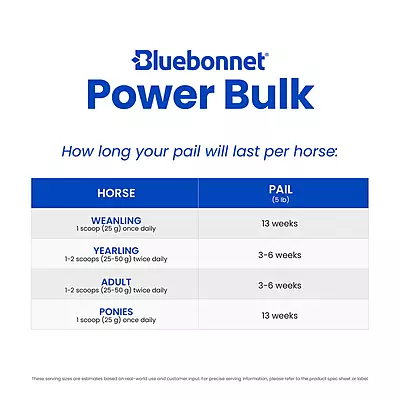 Power Bulk