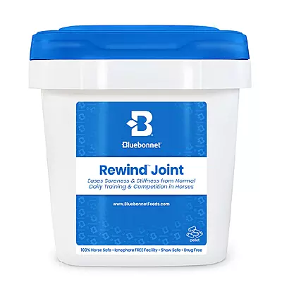 Rewind- 11.1lb
