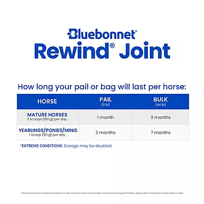 Rewind- 11.1lb