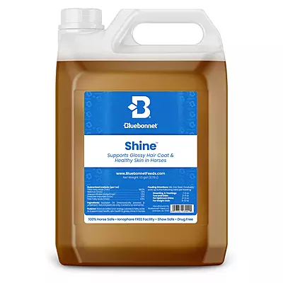Shine- 1 Gallon