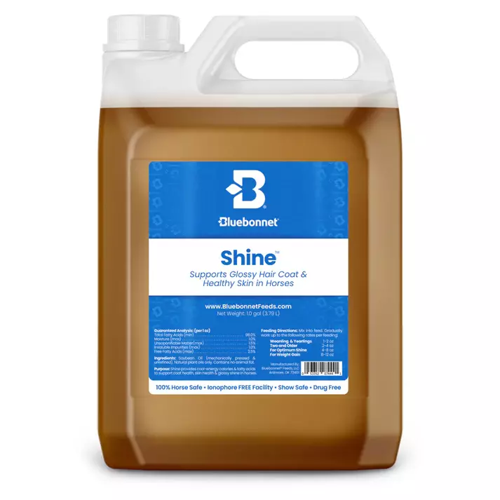 Shine- 1 Gallon